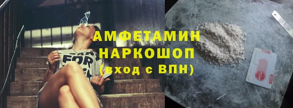 сатива Покачи
