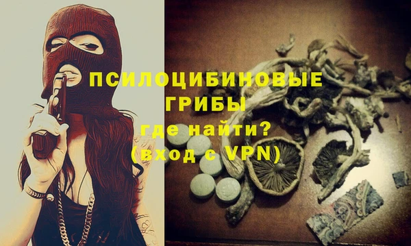 сатива Покачи