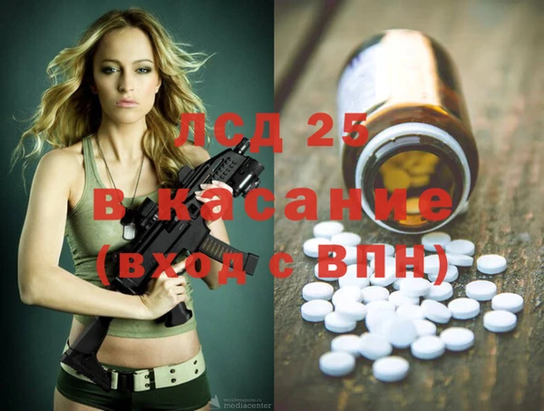 сатива Покачи