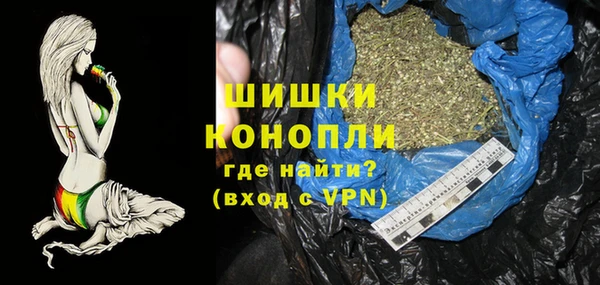сатива Покачи