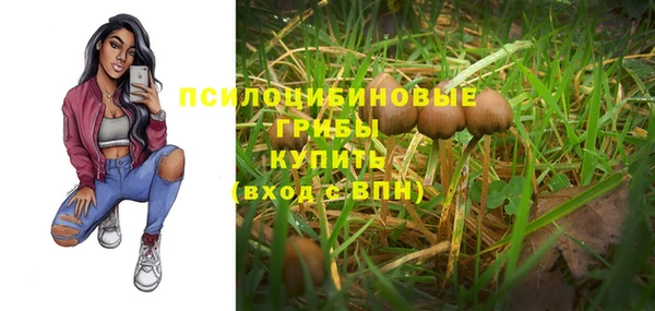 дмт Покров