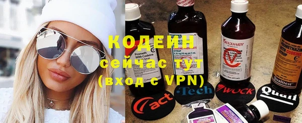 сатива Покачи