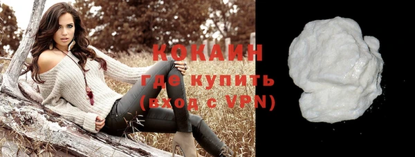 сатива Покачи