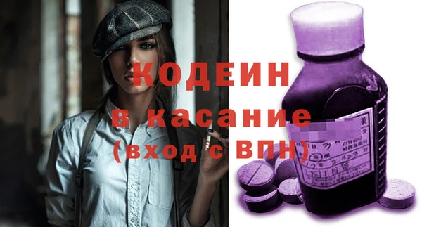 сатива Покачи