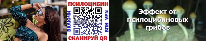 гидра как войти  Бежецк  Галлюциногенные грибы прущие грибы  даркнет сайт 